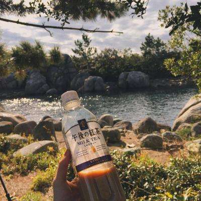 pg棋牌软件平台手机app下载